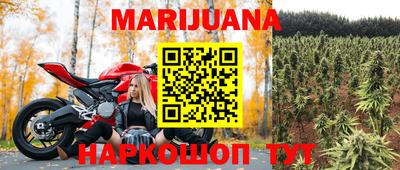 крисы Гагарин